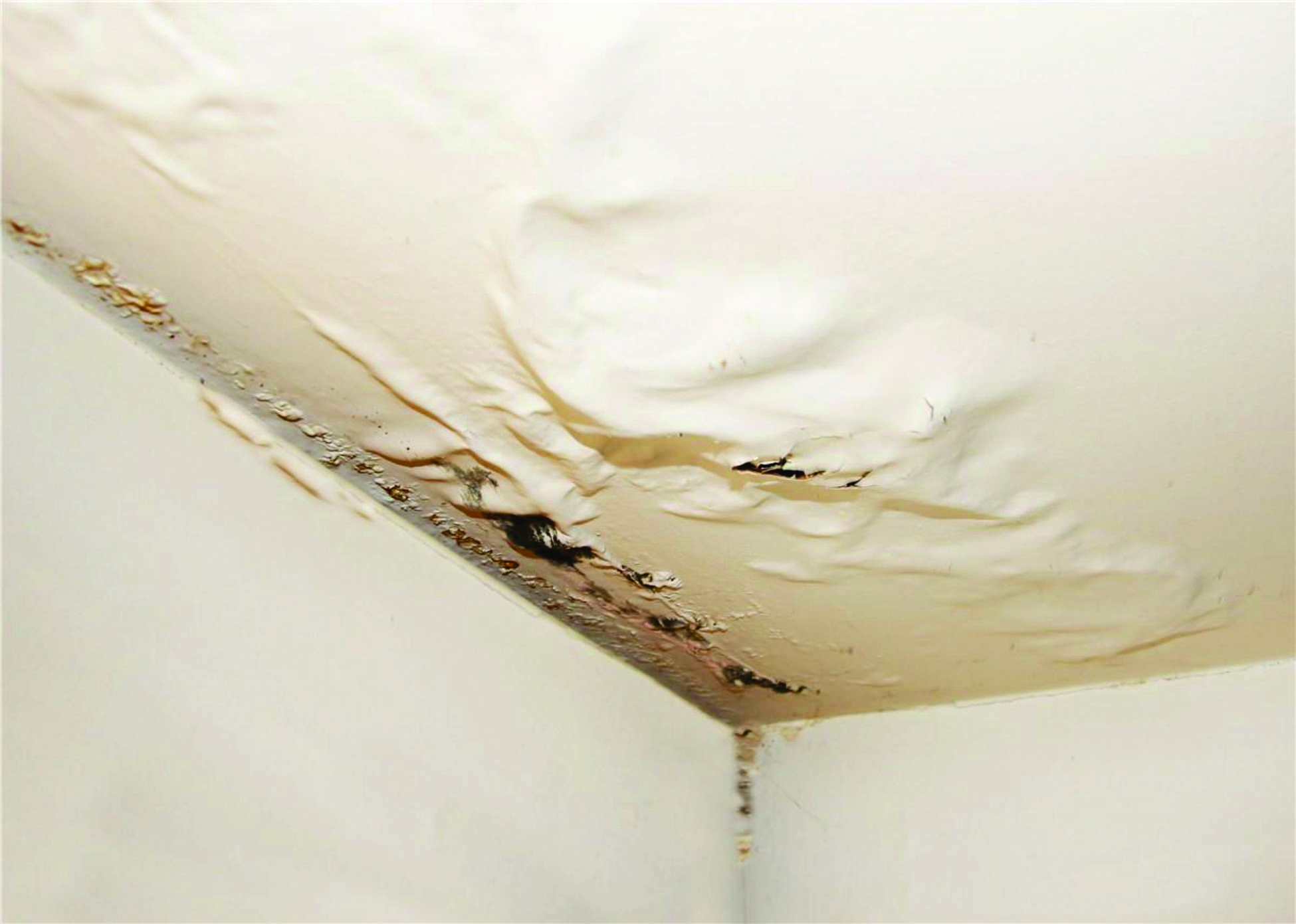 emergency roof repair near me